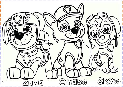 Paw Patrol - Free Colouring Pages