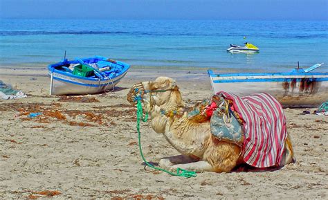Djerba, Tunesien - Reise-Tipps für einen spannenden Urlaub