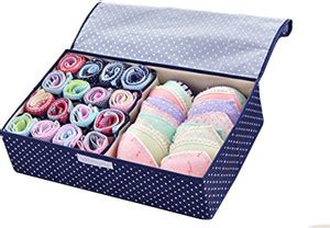 HOUSE OF QUIRK Innerwear Organizer 16+1 Compartment Non-Smell Non Woven ...