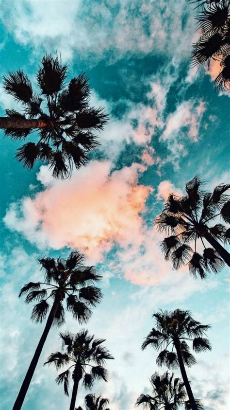 Image result for Wallpaper BG for Programmers JavaScript HTML/CSS