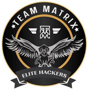 Image result for Team Matrix