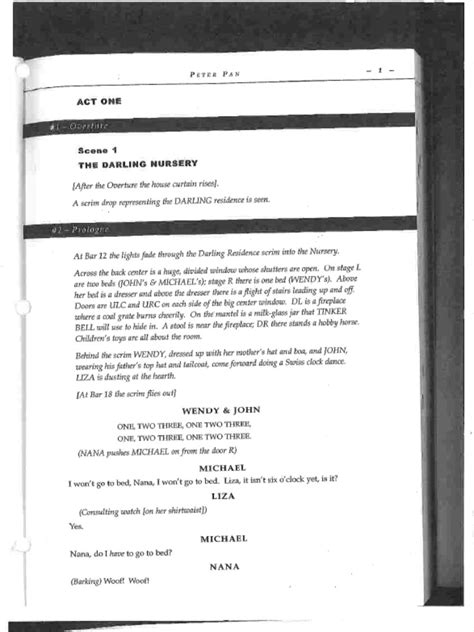 Image result for Peter Pan Transcript