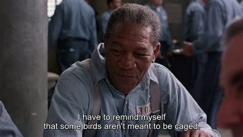 Shawshank Redemption Quotes