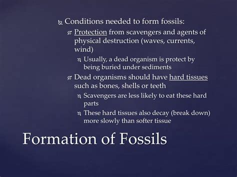 Formation of Fossils 的图像结果