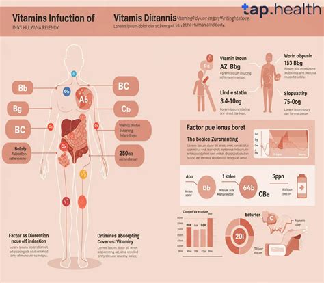 How Long Do Vitamins Stay in Your System? Everything You Need to Know