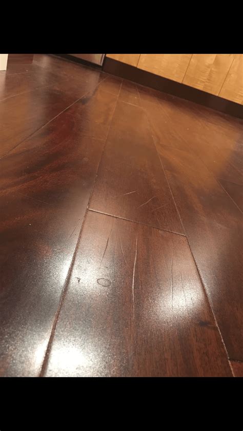 When Can Dogs Walk On Refinished Hardwood Floors