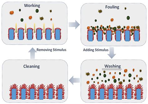 Electro-Conductive Membranes for Permeation Enhancement and Fouling ...