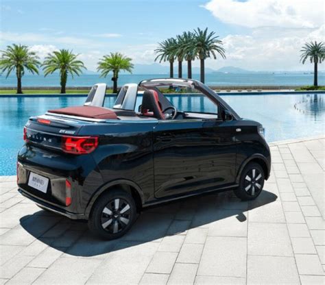 Image result for Wuling Mini EV Capybara