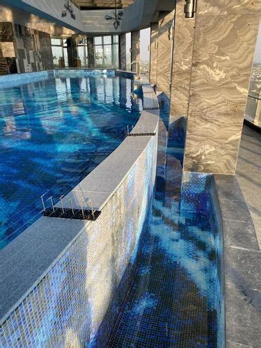 Swimming Pool Bird Control - Infinity Swimming Pool Pigeon Control ...