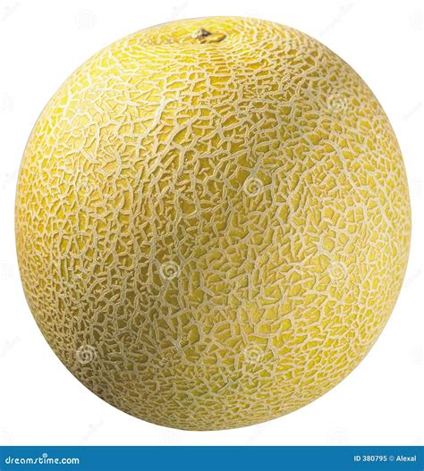 Image result for melon