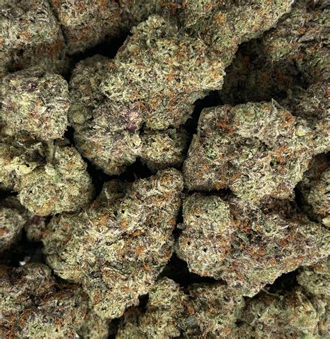 Oreoz Exclusive - District Connect - Washington DC i71 Weed Delivery