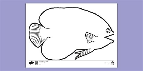Angel Fish Colouring Sheet | Sea Colouring Pages | KS1
