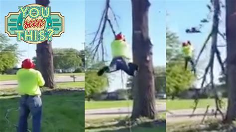Tree Felling Fails 的图像结果