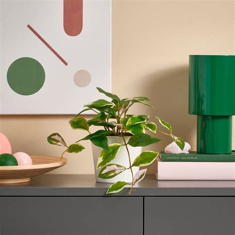FEJKA artificial potted plant, in/outdoor/Wax plant hanging, 9 cm (3 ½ ...