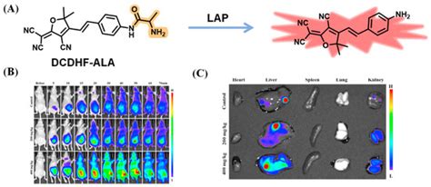 Recent Progress of Activity-Based Fluorescent Probes for Imaging ...
