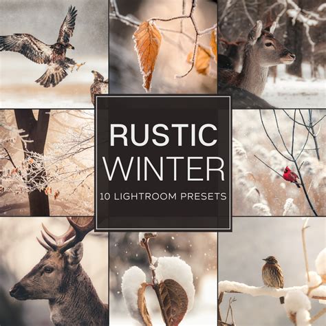 Rustic Winter LIMITED Lightroom Presets Pack – Woodland Presets