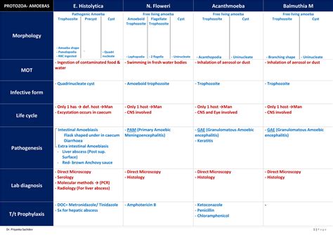 Mastercharts for Pathogenic Protozoa and Helminths - Dr. Priyanka ...