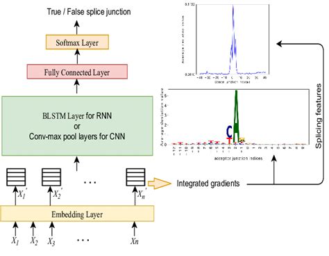 Graphical Workflow 的图像结果