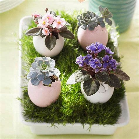 Indoor Decor with Succulents