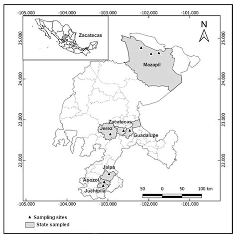 Bromatological Composition and In Vitro Ruminal Digestibility of Vaines ...