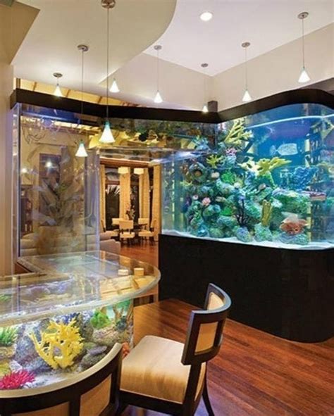 Custom Aquarium Manufacturers in Gurgaon