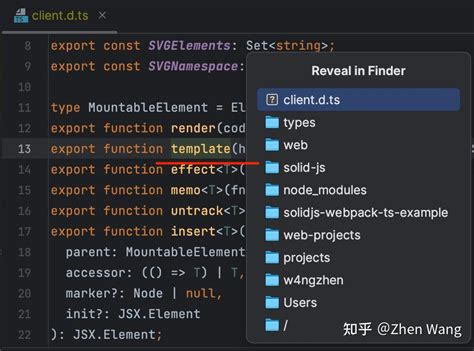 Solidjs in Visual Studio Code 的图像结果