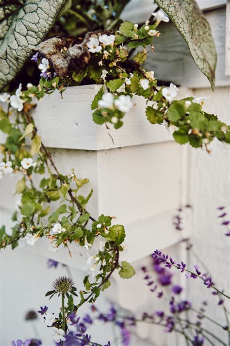 Image result for DIY Window Box