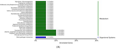 Study on Revealing Peanut-Related Disease Prevention Gene Clusters via ...