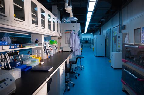 实验室 的图像结果