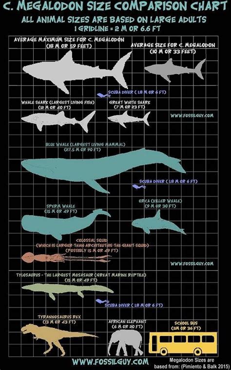 Mosasaurus Size Comparison