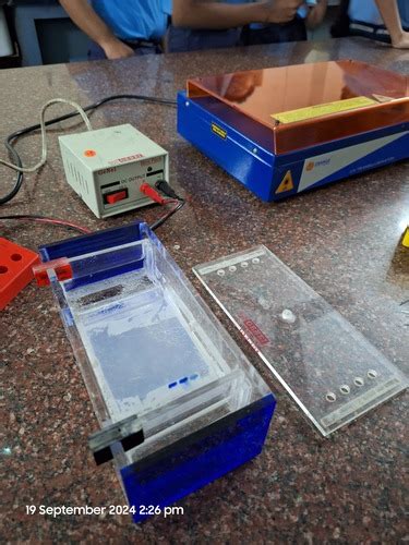 Photo Gellery | International Microorganism Day on 19.09.2024 ...