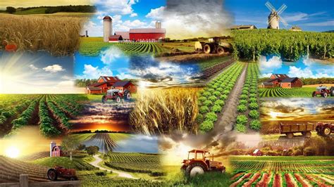 Agriculture Wallpapers - Wallpaper Cave