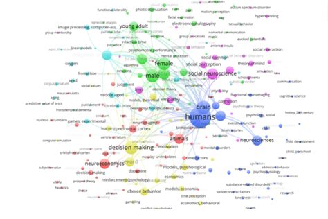 Challenges of bibliometric mapping and scattering analysis and ...