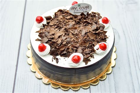 Mr. Crust Bakers, Ashok Vihar Phase 1, New Delhi | Zomato