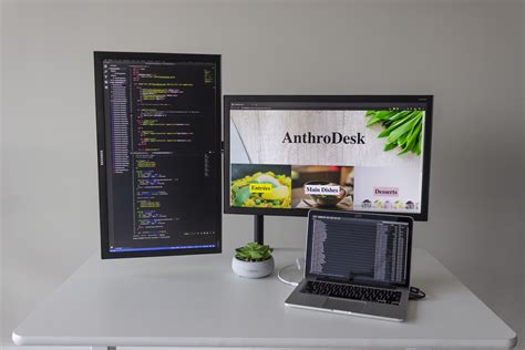 Coding Setup 的图像结果