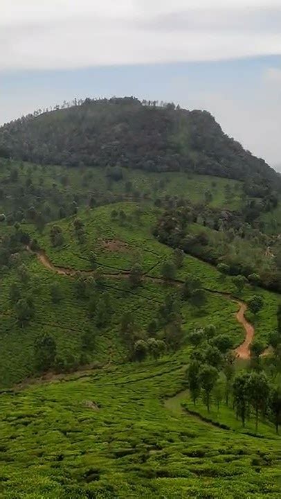 Image result for Assam Language