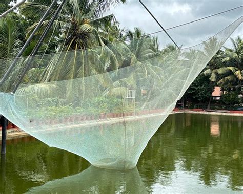 THANIMA FARM LIFE (Nallepilly) - Farmhouse Reviews & Photos - Tripadvisor