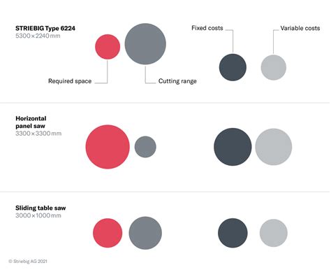 The STRIEBIG vertical panel saw - The original