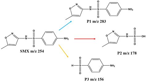 Construction of Multi-Defective ZnMn2O4/Carbon Nitride Three ...