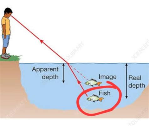 why fish appears straight if refraction happens in circled region ...