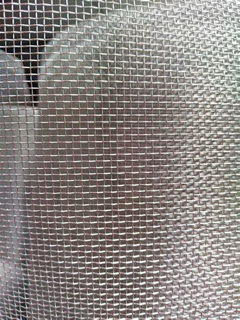Image result for Mesh Fly Net
