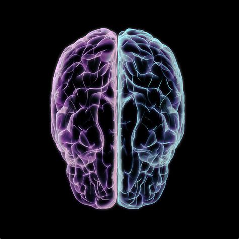 Image result for Mind Exploding Back Cover