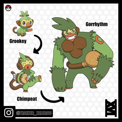 Image result for Grookey Evolution Line