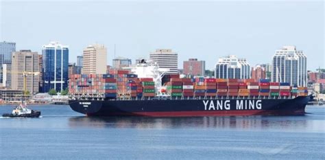 Yang Ming Honored for Providing Excellent Service - VesselFinder