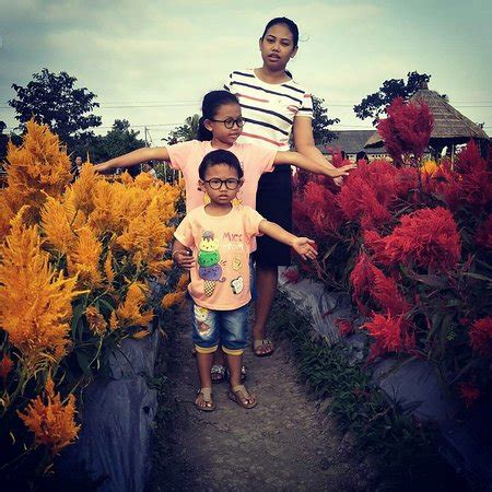 Bintang Bali Transport (Tabanan) - 2022 What to Know Before You Go ...