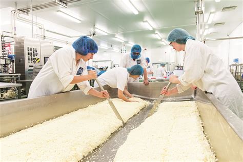 Image result for Cheese Manufacturing Process