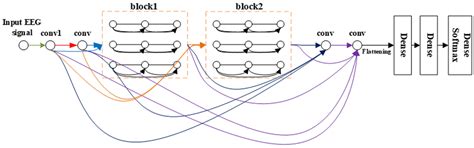 A Densely Connected Multi-Branch 3D Convolutional Neural Network for ...