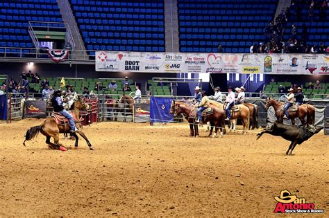 Image result for Team Roping Rodeo