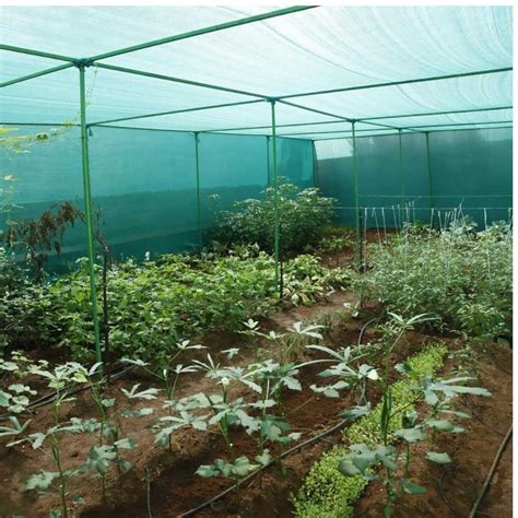 Buy Green Shade Net 50% for Home Garden (16 Ft x 10 Feet) - – Organicbazar