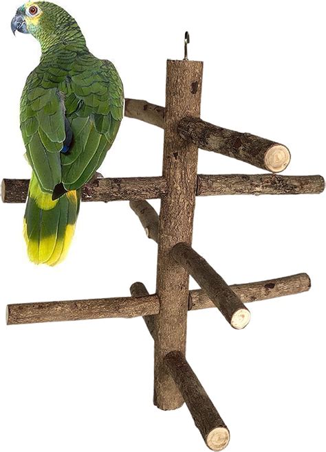 SS Organic Natural Wood Parrot Perch Bird Stand Climbing Standing ...